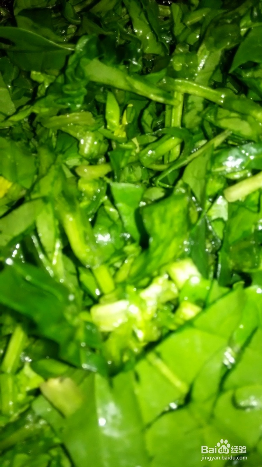 菠菜鸡蛋的价值营养