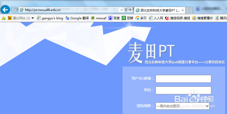 火狐无法打开ipv6网站