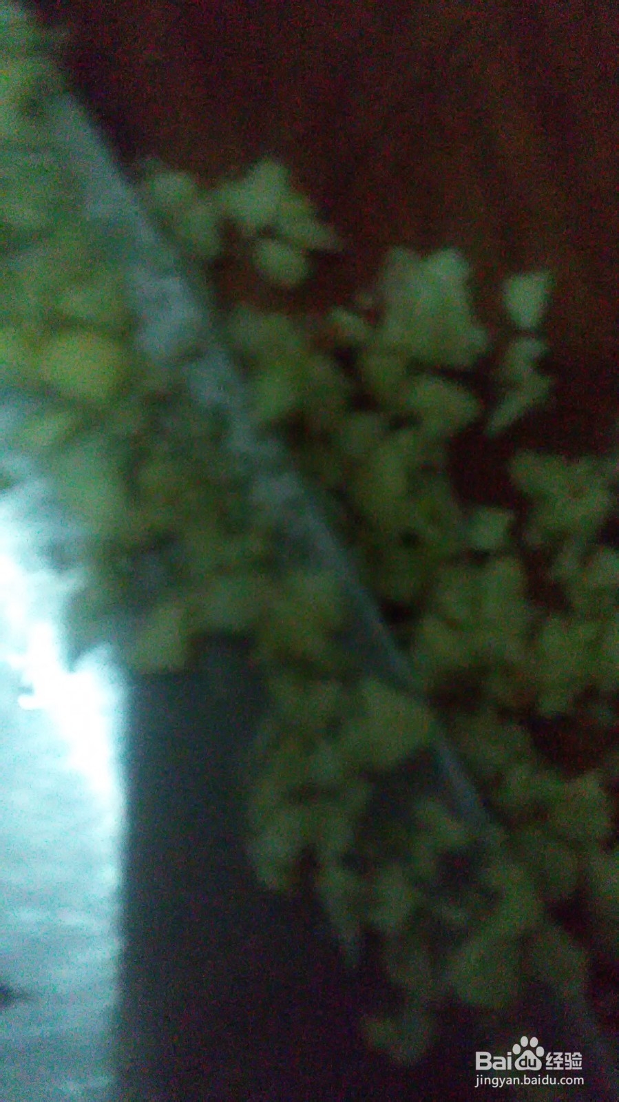 小咸菜的做法