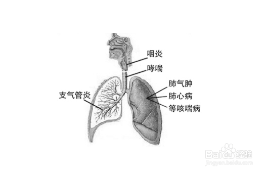 了解抽烟危害,关注身体健康