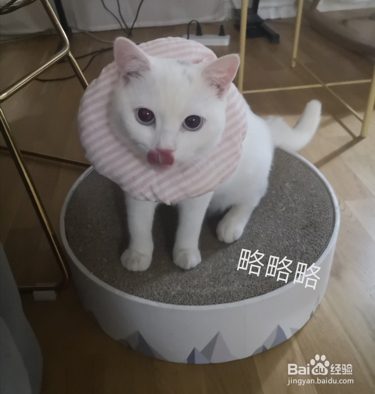 孩子爱吃的萝卜泡菜