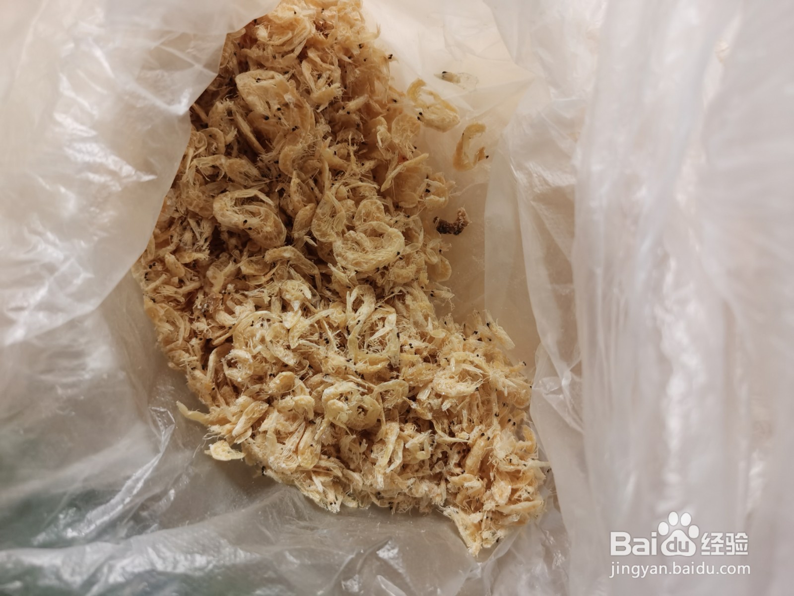 西葫芦鸡蛋烙饼