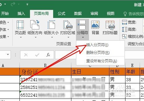 excel2019表格如何设置分页