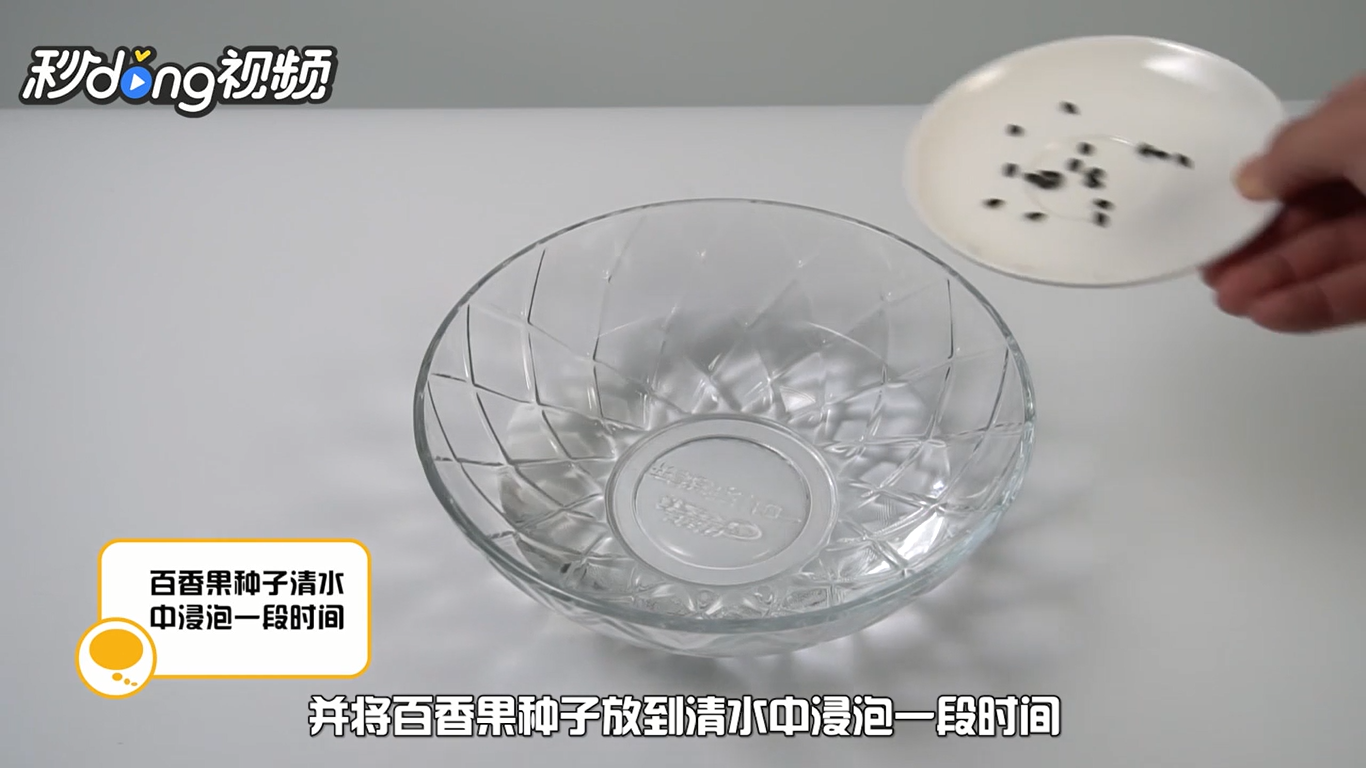 如何在阳台上种植百香果盆栽