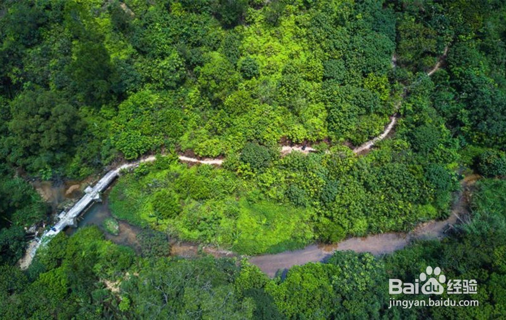 如何开展南粤古驿道保护利用