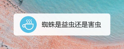 蜘蛛是益虫还是害虫 百度经验 蜘蛛是益虫还是害虫 百度经验