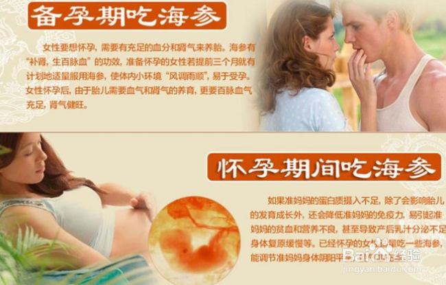 夏季一天吃多少海参合适，科学合理搭配是关键