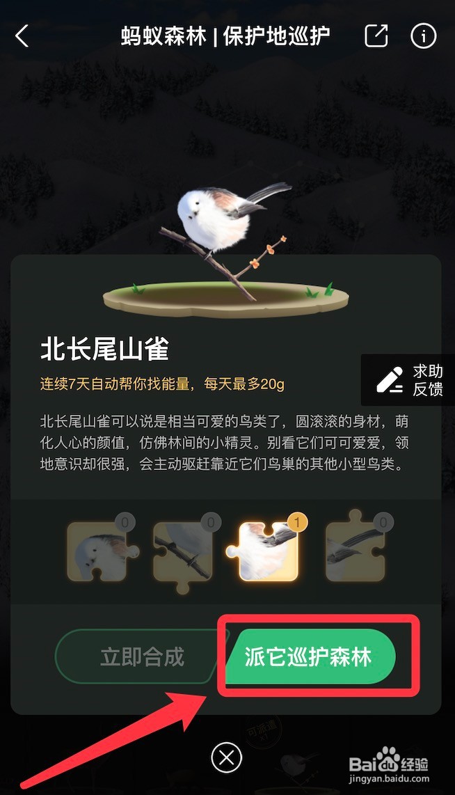 蚂蚁森林保护地动物派遣方法