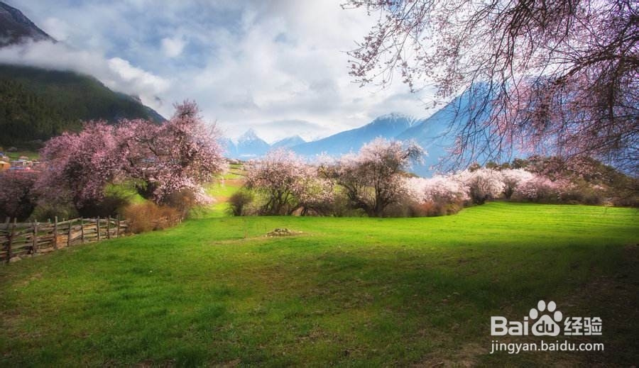 夏天就要来了这时候是去西藏最好的季节
