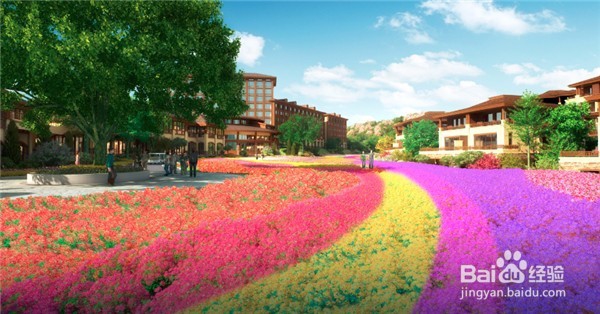英山四季花海好玩吗四季花海旅游攻略