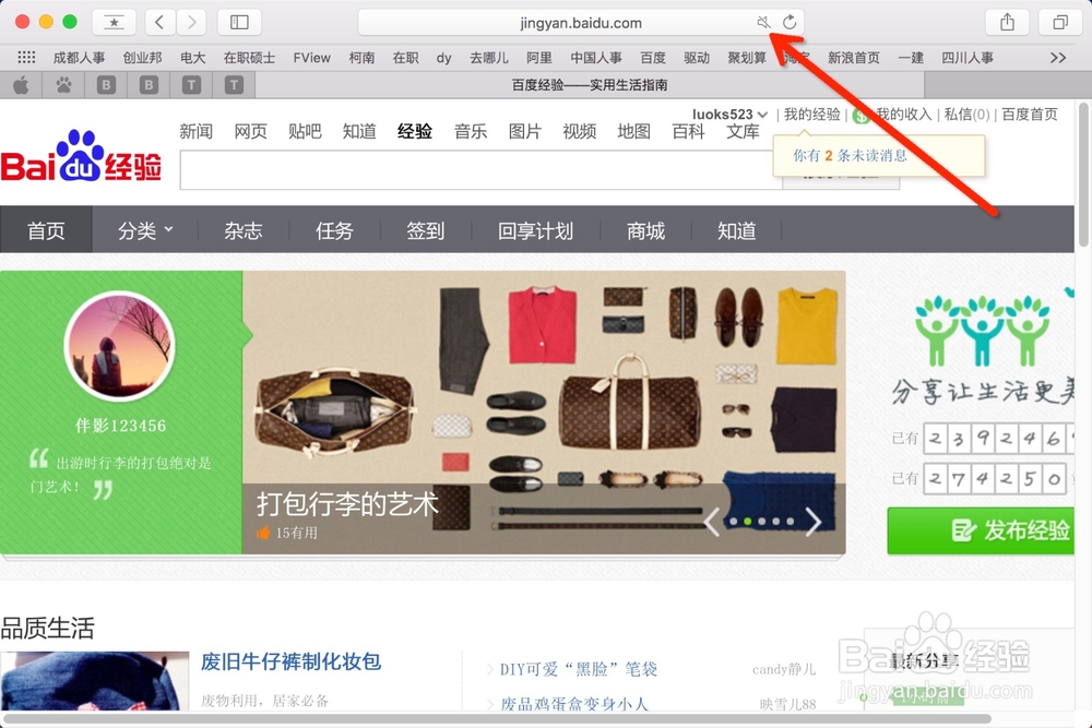 Mac新Safari一键静音和网页标签固定功能