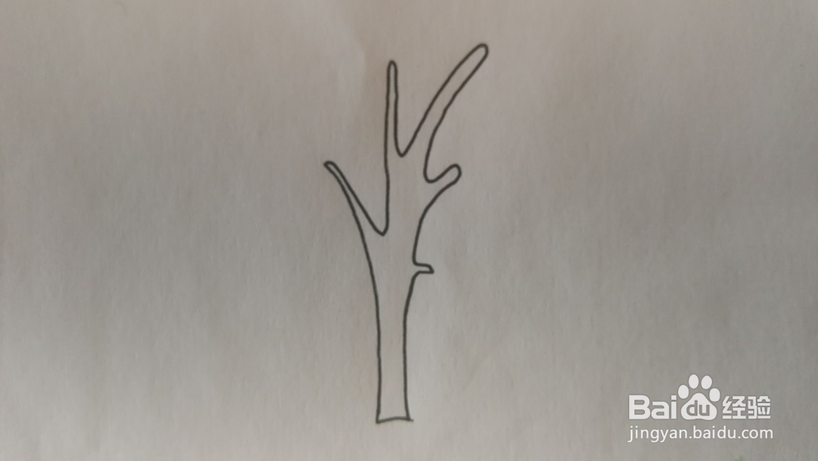 #经验分享官#大树简笔画