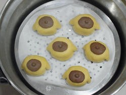 可爱的布丁狗包子