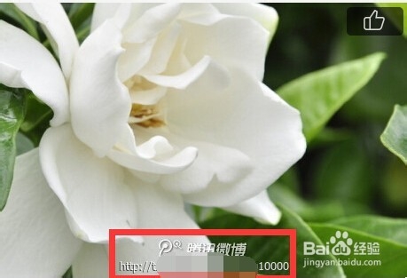 腾讯微博如何安排水印位置