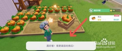 心动小镇如何在游戏中获得高级的南瓜