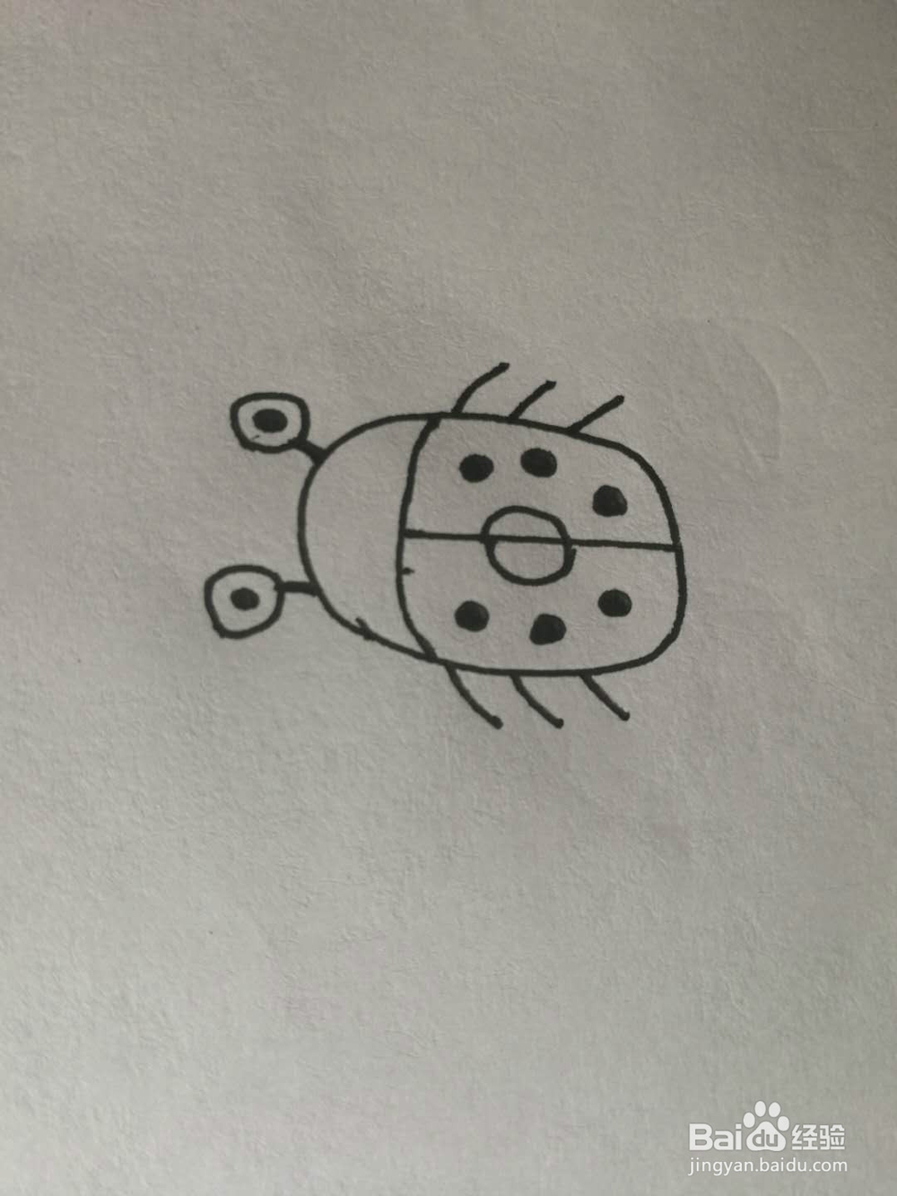 简笔画七星小瓢虫