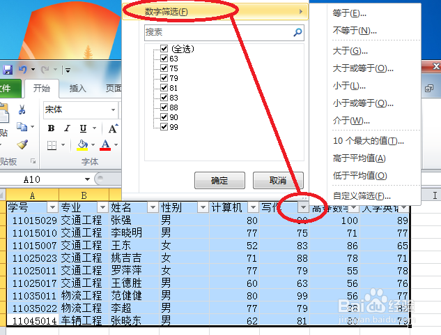 2010Excel技巧大全数据的自定义筛选