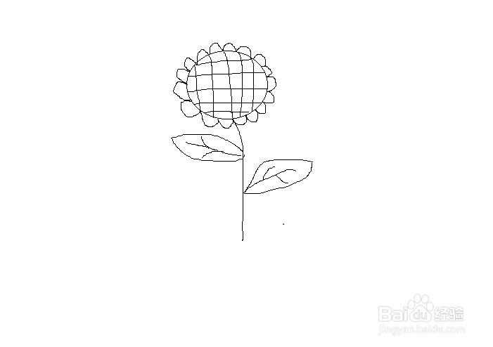 简笔画之向日葵