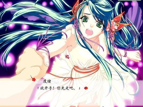 红楼梦：林黛玉与北静王简体中文版图文介绍