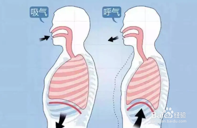 怎样鉴别人体呼出的是什么气体