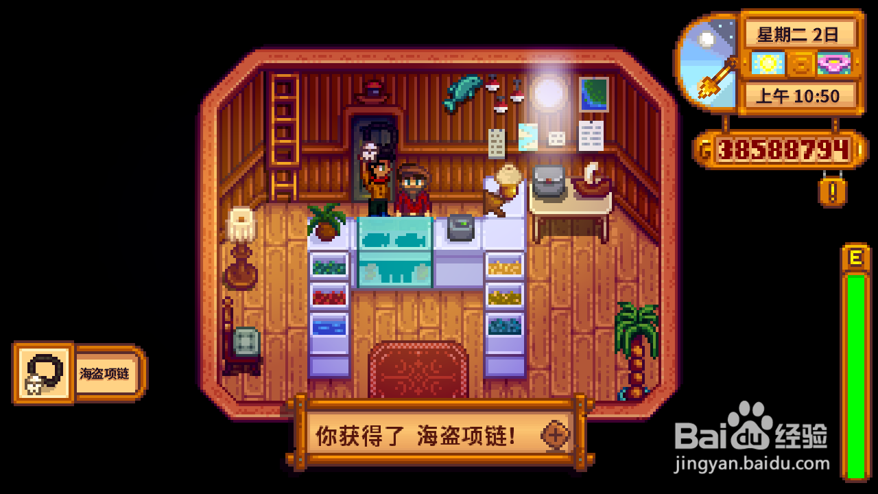 星露谷物语海盗的妻子任务怎么做