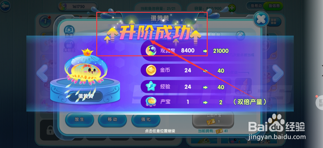 萌鱼泡泡手游如何将成年期蛋黄黄升阶到皇冠期