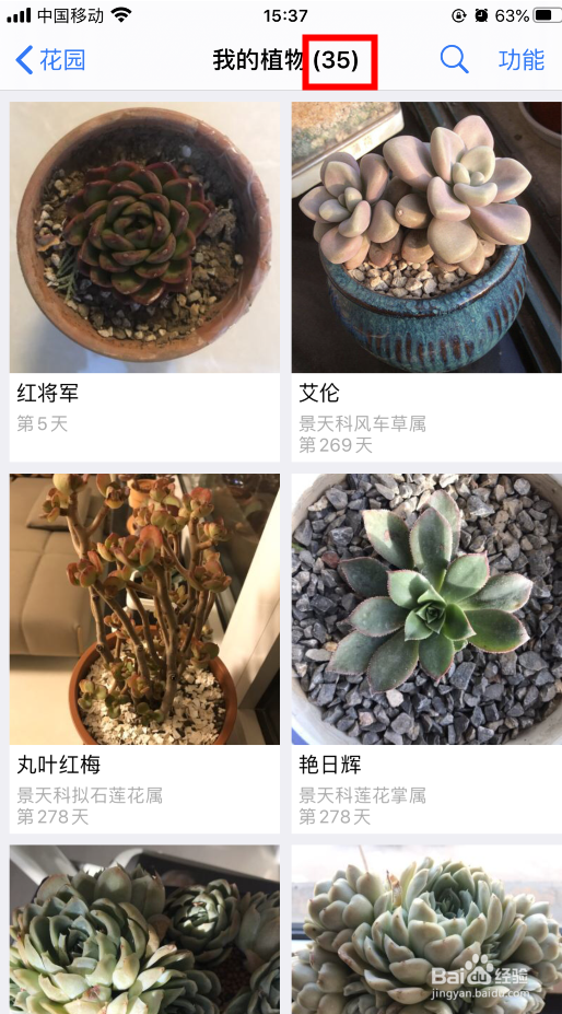 如何在爱花草App的花园中删除植物