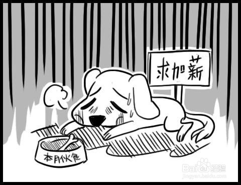 如何和老板谈工资
