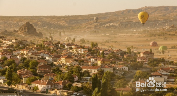 土耳其恋猫之国月落星沉你是黎明时分的光。