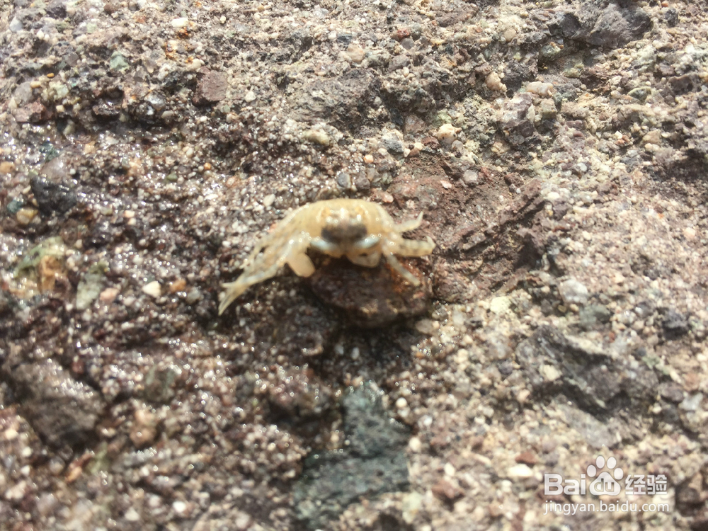 沙滩上寻找乐趣