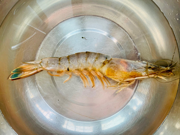 青椒虾仁土豆泥