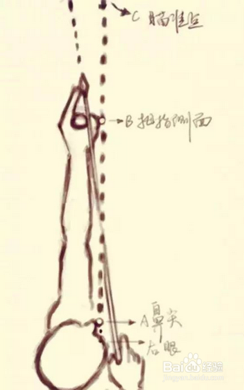 弓箭零基础,该怎么开始学习传统弓?