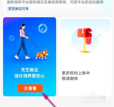 支付宝怎么查芝麻证领养