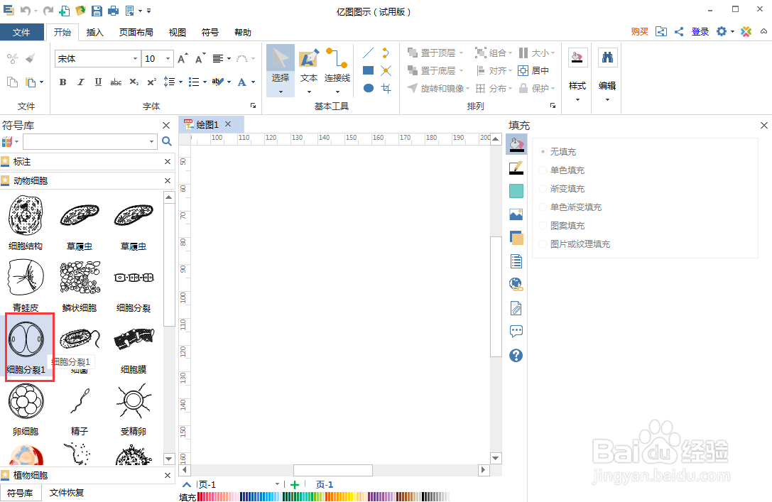 在亿图图示中创建细胞分裂图
