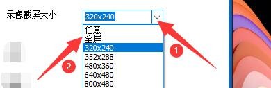 魔录大师如何设置录像截屏大小