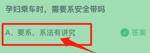 蚂蚁庄园3月7日问题答案孕妇乘车时要系安全带吗