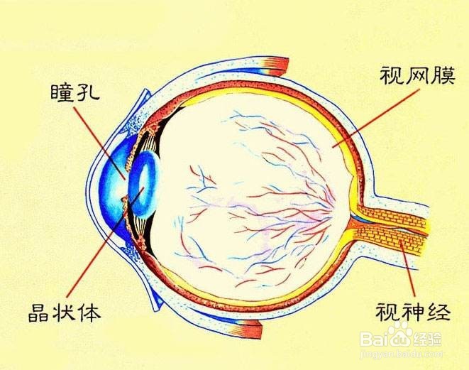 眼球震颤