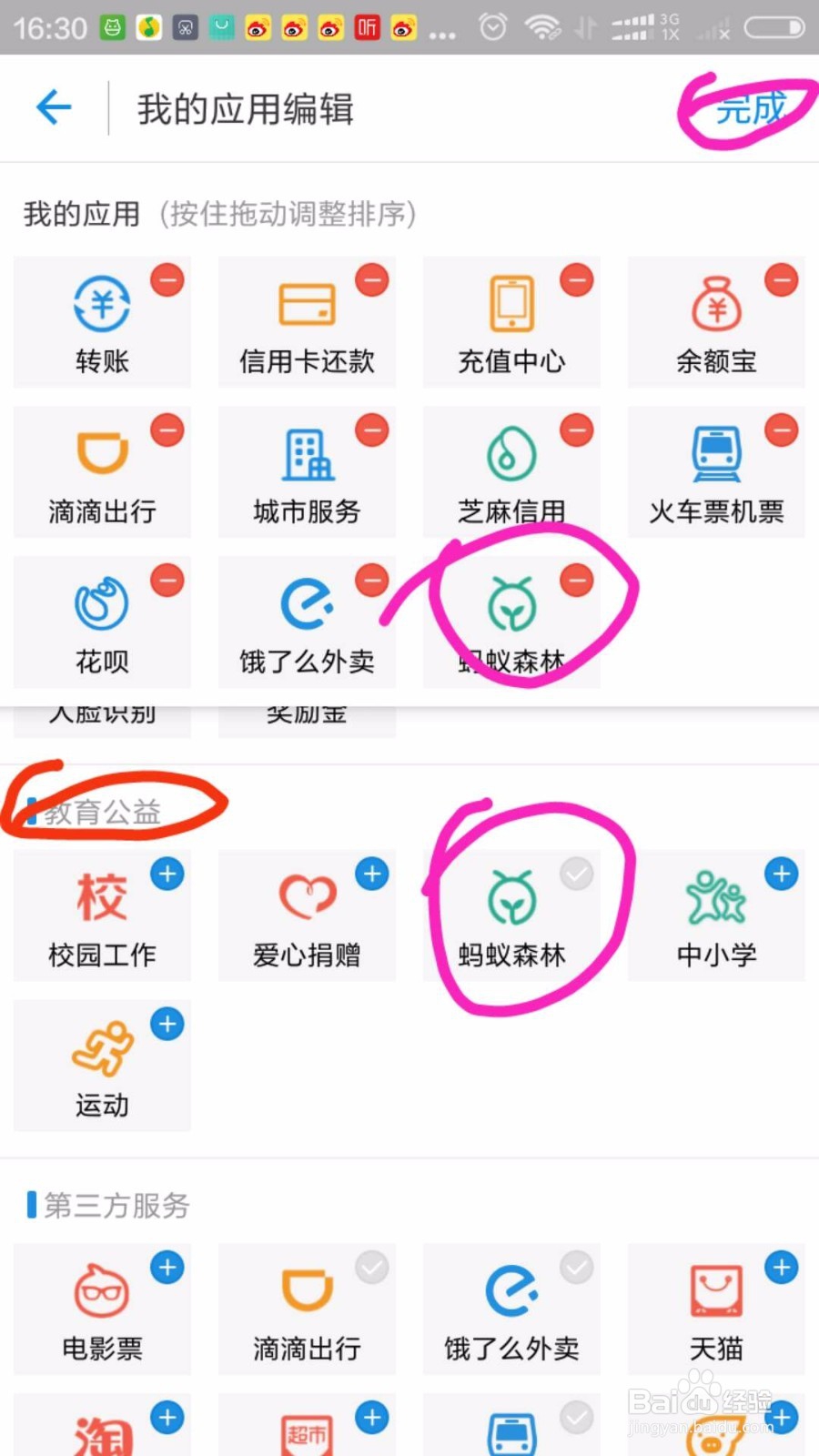 怎样把【蚂蚁森林】放到支付宝的首页
