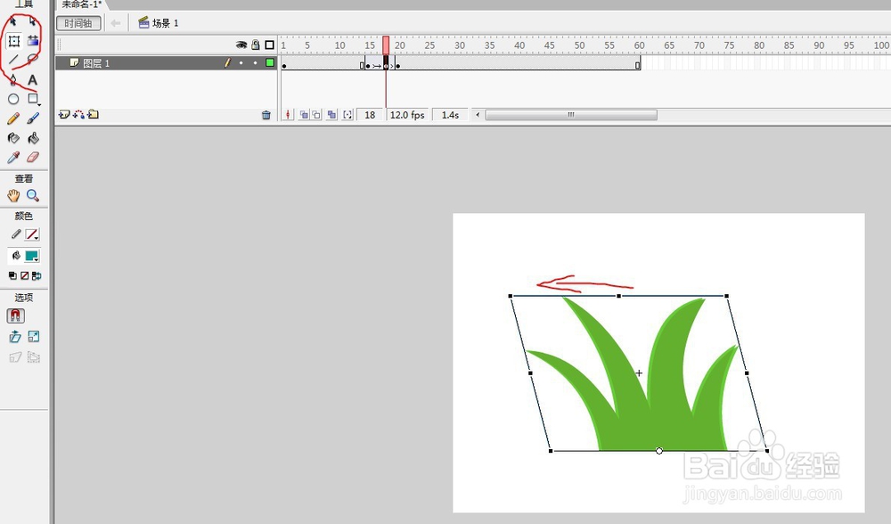 flash绘制植物随风摆动的动画