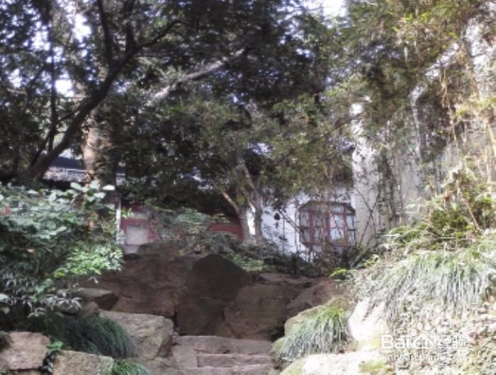 深夜无人的时候你会不会莫名的情绪低落