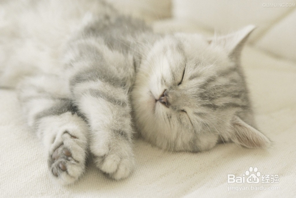 战胜失眠，心理暗示小妙招