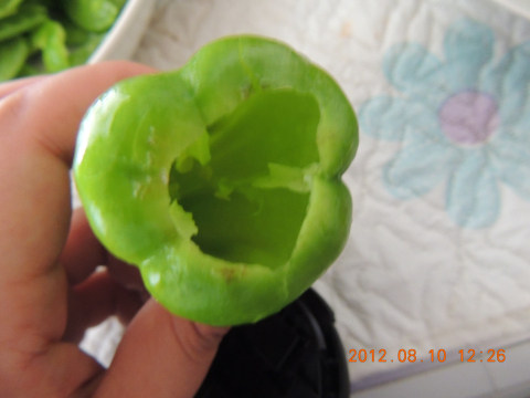 荷包辣椒大放送！不要舔屏幕哦