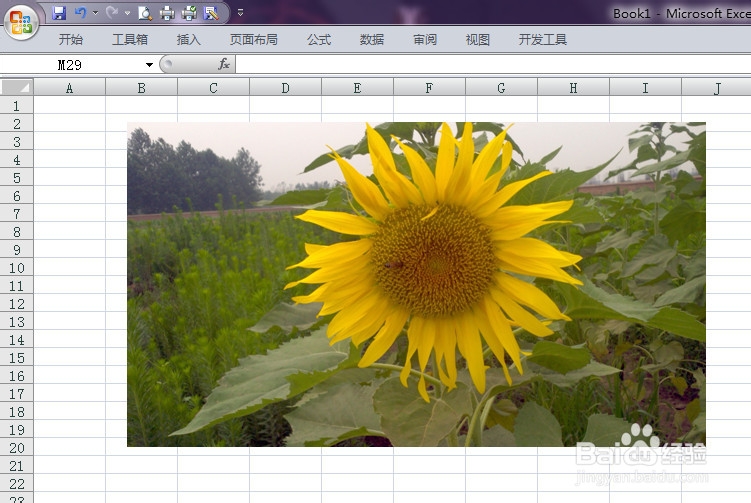 轻松学Excel：[43]轻松导出图片