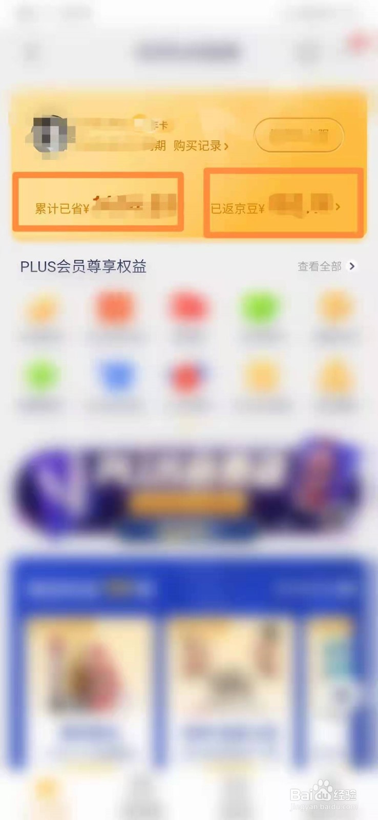 怎么查询京东PLUS会员购物回馈京豆数