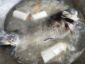 超鲜的鲫鱼豆腐汤