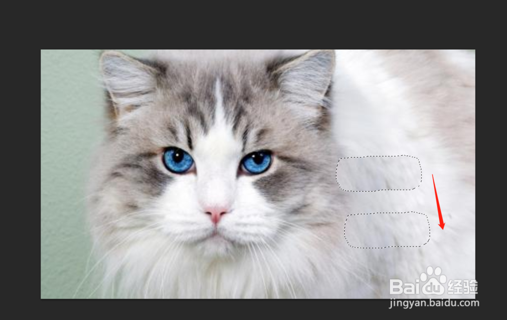 怎么去掉水印？