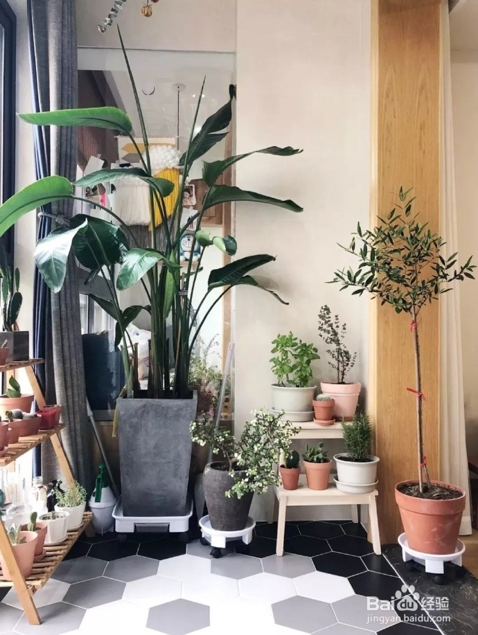 超全的家具保养的方法，你做的正确吗？