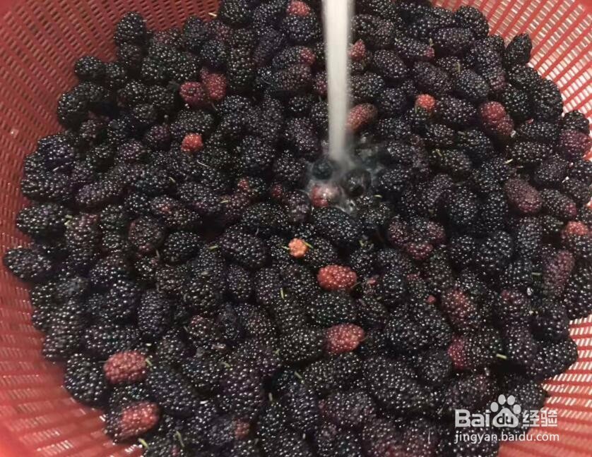 手工自制紫桑葚酱简便方法,黑桑葚果子酱制作
