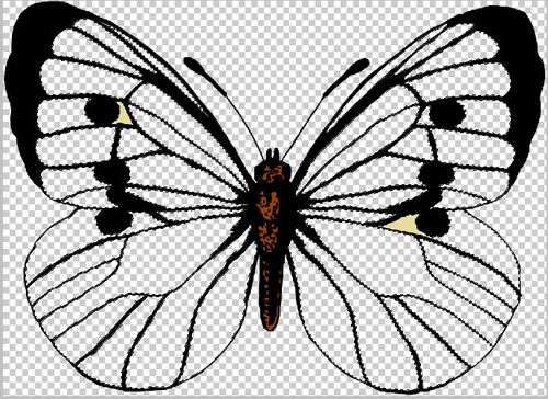 教你用ps做古老的木纹雕刻！