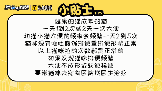 怎么看猫一天拉几次就正常